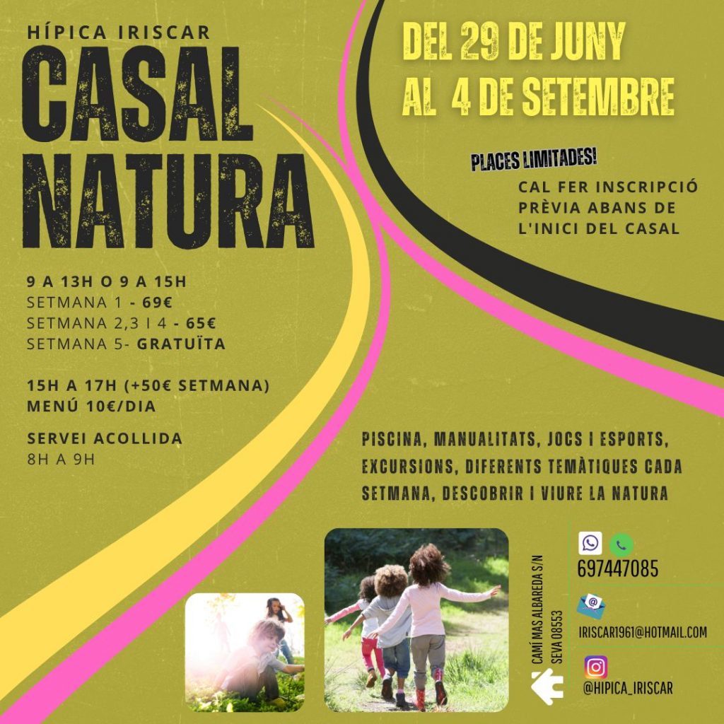 hipica equitació seva cavalls